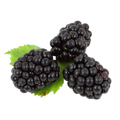 Blackberries 6oz (imported)