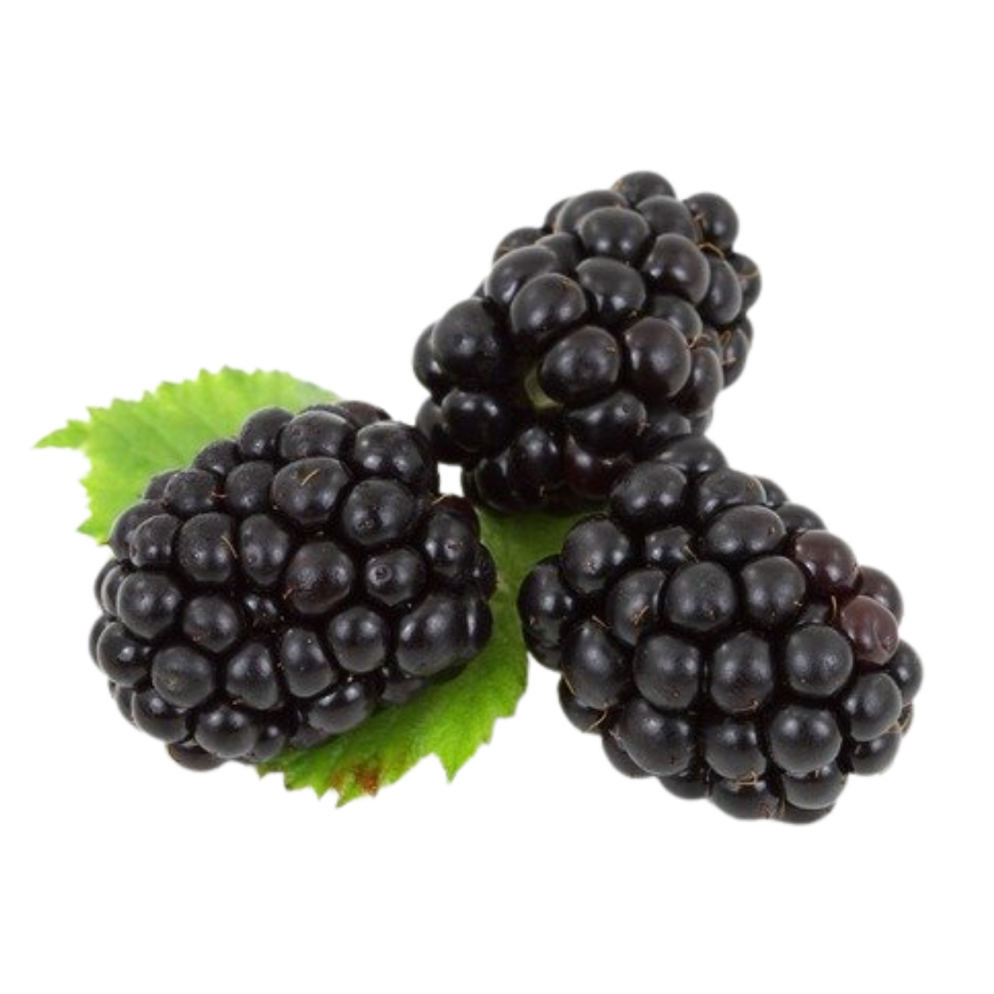 Blackberries 6oz (imported)