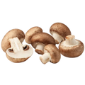 Mushroom (imported)