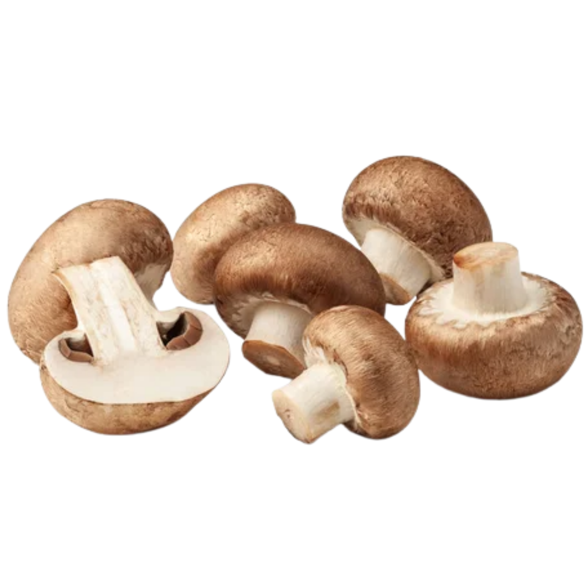 Mushroom (imported)