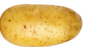 Potato
